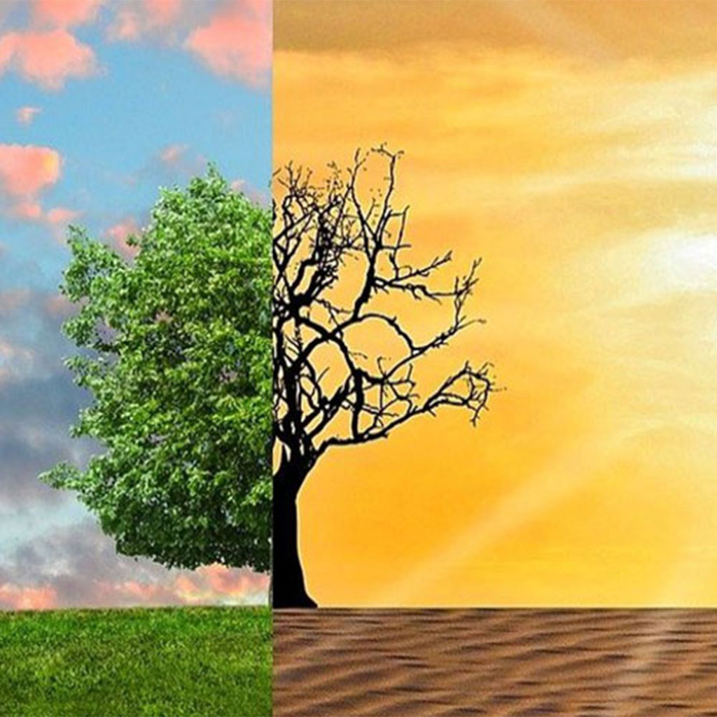 Moment scientifique – Agir ensemble pour une transition socioécologique juste