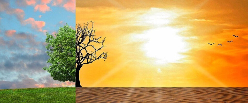 Moment scientifique – Agir ensemble pour une transition socioécologique juste