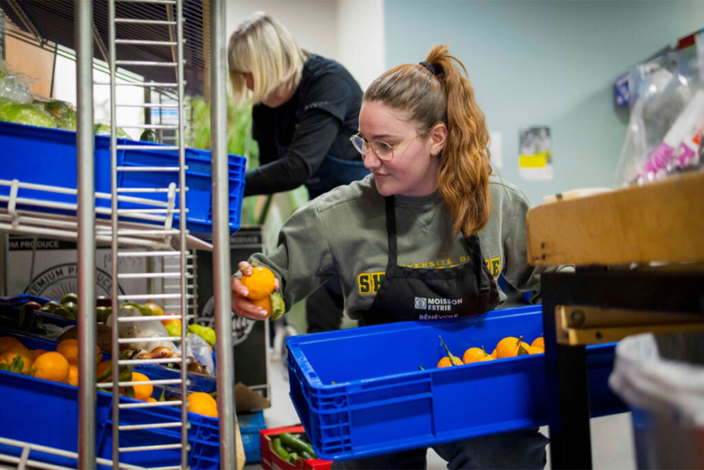 Développement social - Sécurité alimentaire