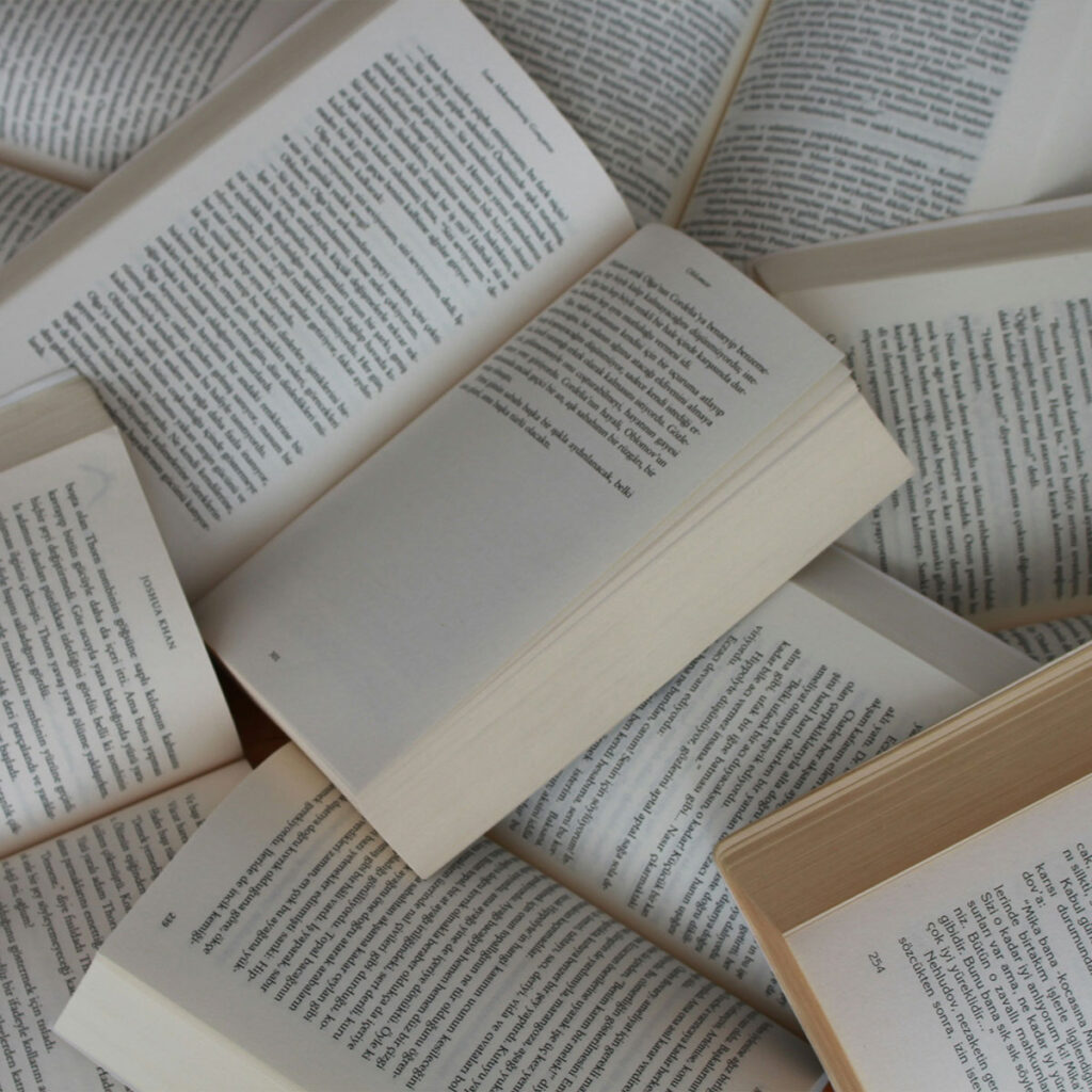 Réussite éducative - Indice de littératie